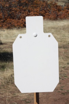 Rogue Shooting Targets AR-500 Steel Sihouette target