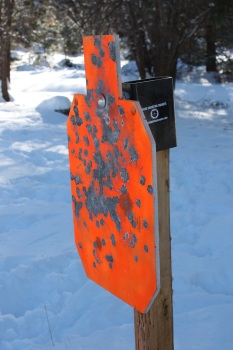 Rogue Shooting Targets AR-500 Steel Sihouette target