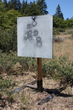 Steel Target Stand with 24" steel target