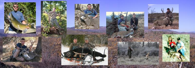 About Rogue Shooting Targets 