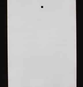 Rogue Shooting Targets AR500 Steel Shooting Targets