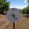 rogue targets Hook N Shoot steel target hanger with round steel plate target
